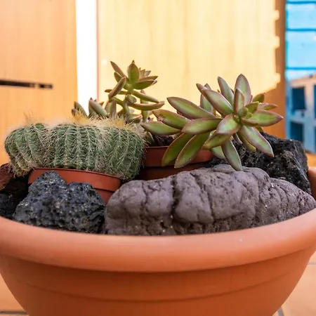 شقة Medano4you Stellas Penthouse