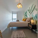 Medano4you Stellas Penthouse