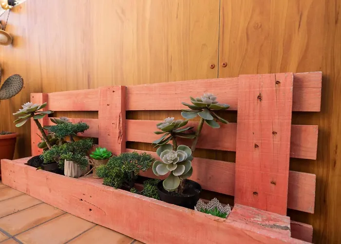 Medano4you Stellas Penthouse